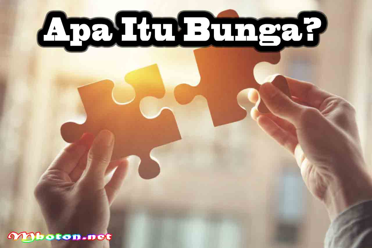 Apa Itu Bunga