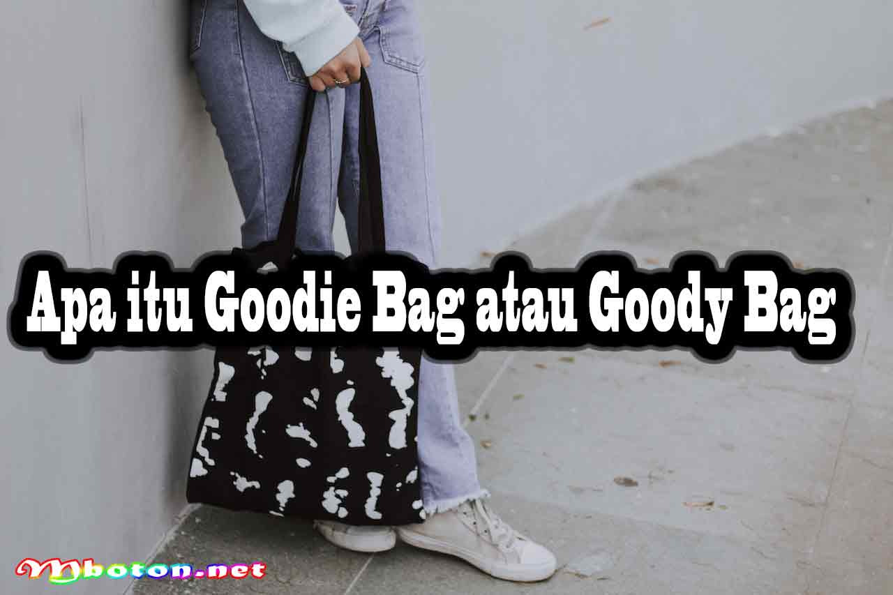Goodie Bag atau Goody Bag Custom Untuk Ultah Acara Spesial 1 Apa itu Goodie Bag atau Goody Bag