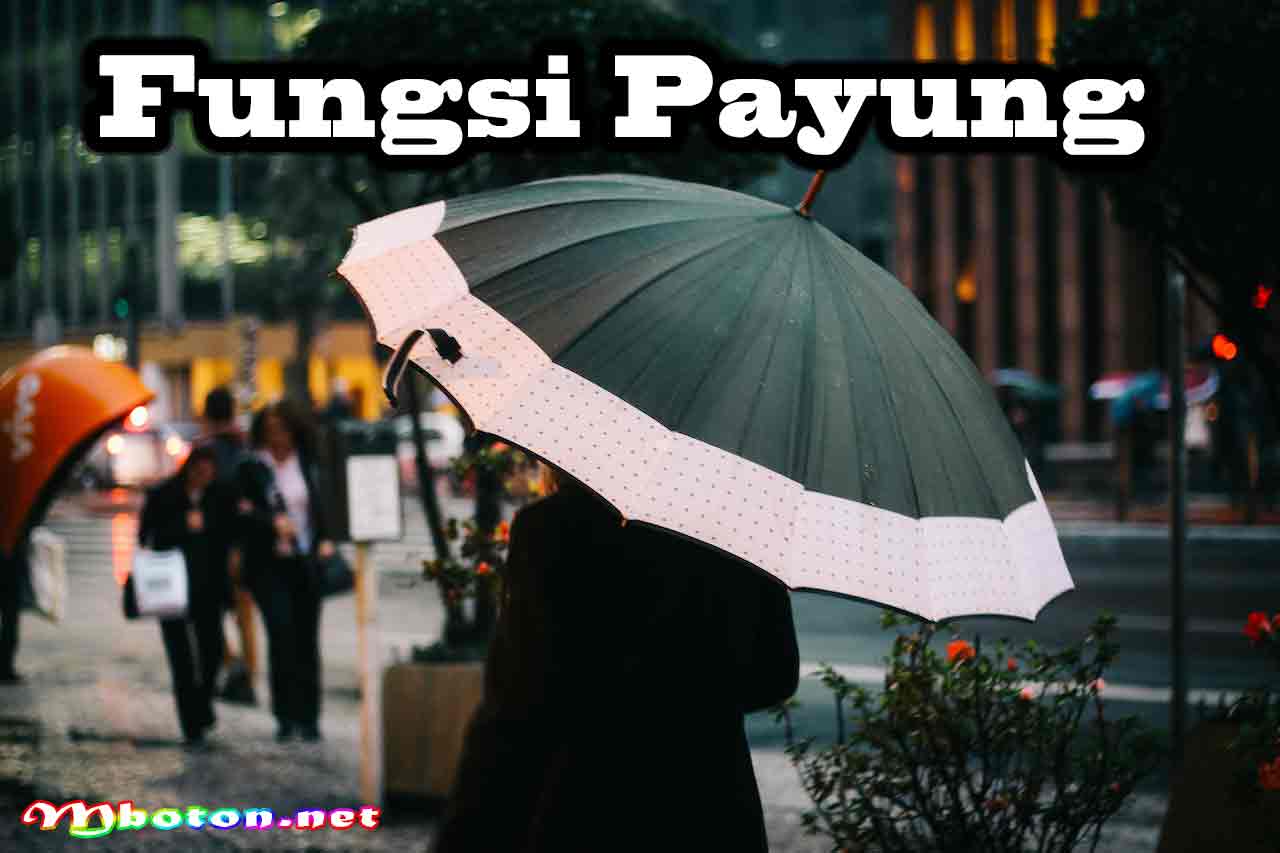 Fungsi Payung