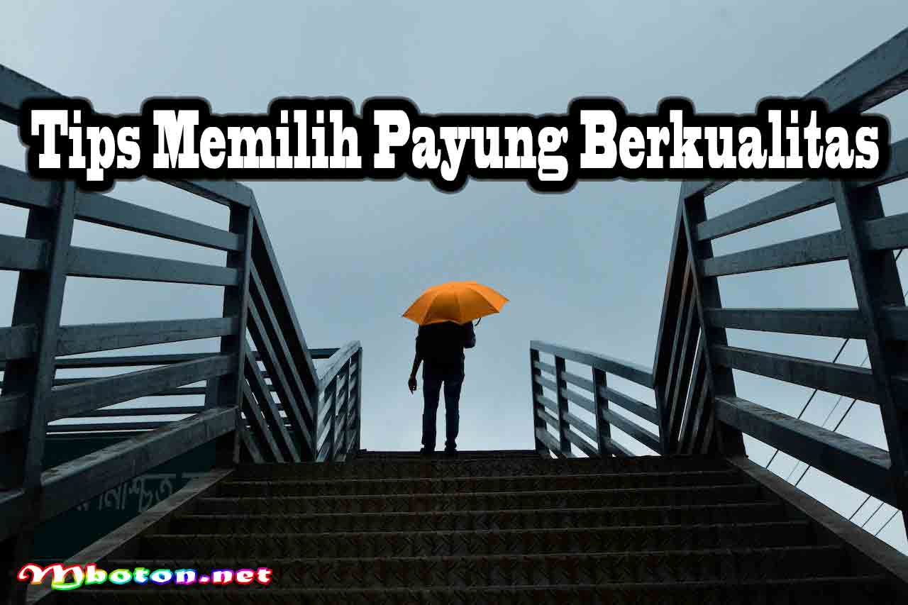 Tips Memilih Payung Berkualitas