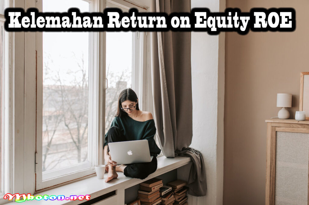 Kelemahan Return on Equity ROE
