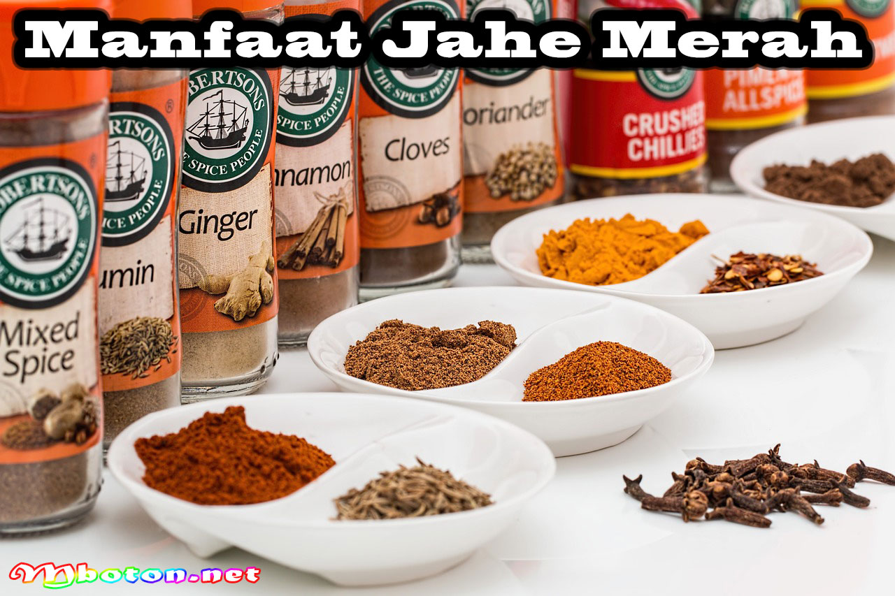 Manfaat Jahe Merah