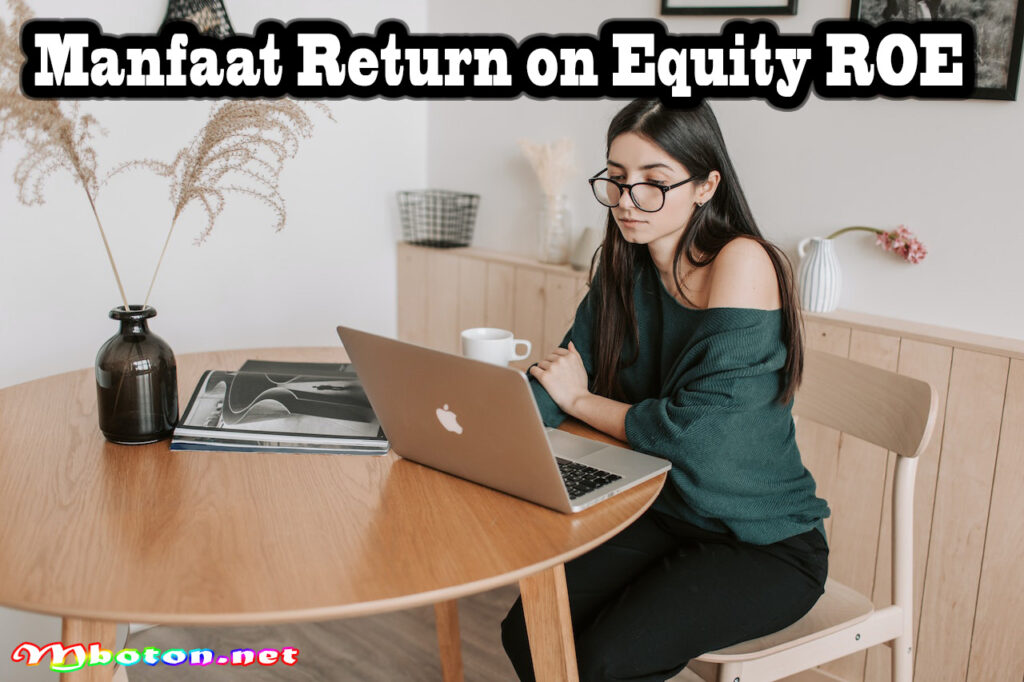 Manfaat Return on Equity ROE