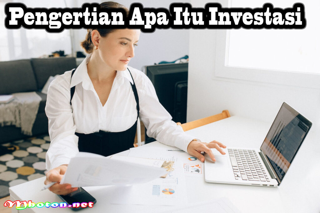 Pengertian Apa Itu Investasi