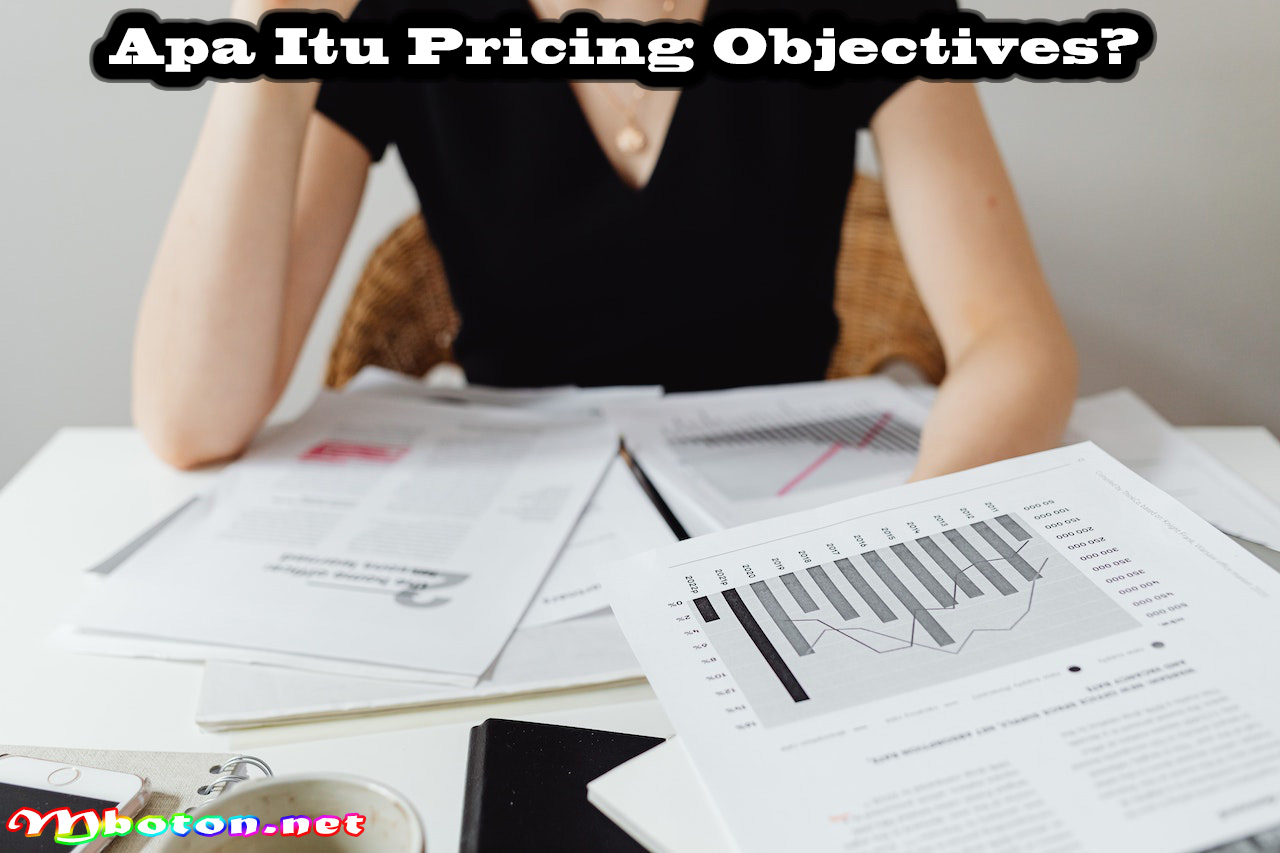 Apa Itu Pricing Objectives