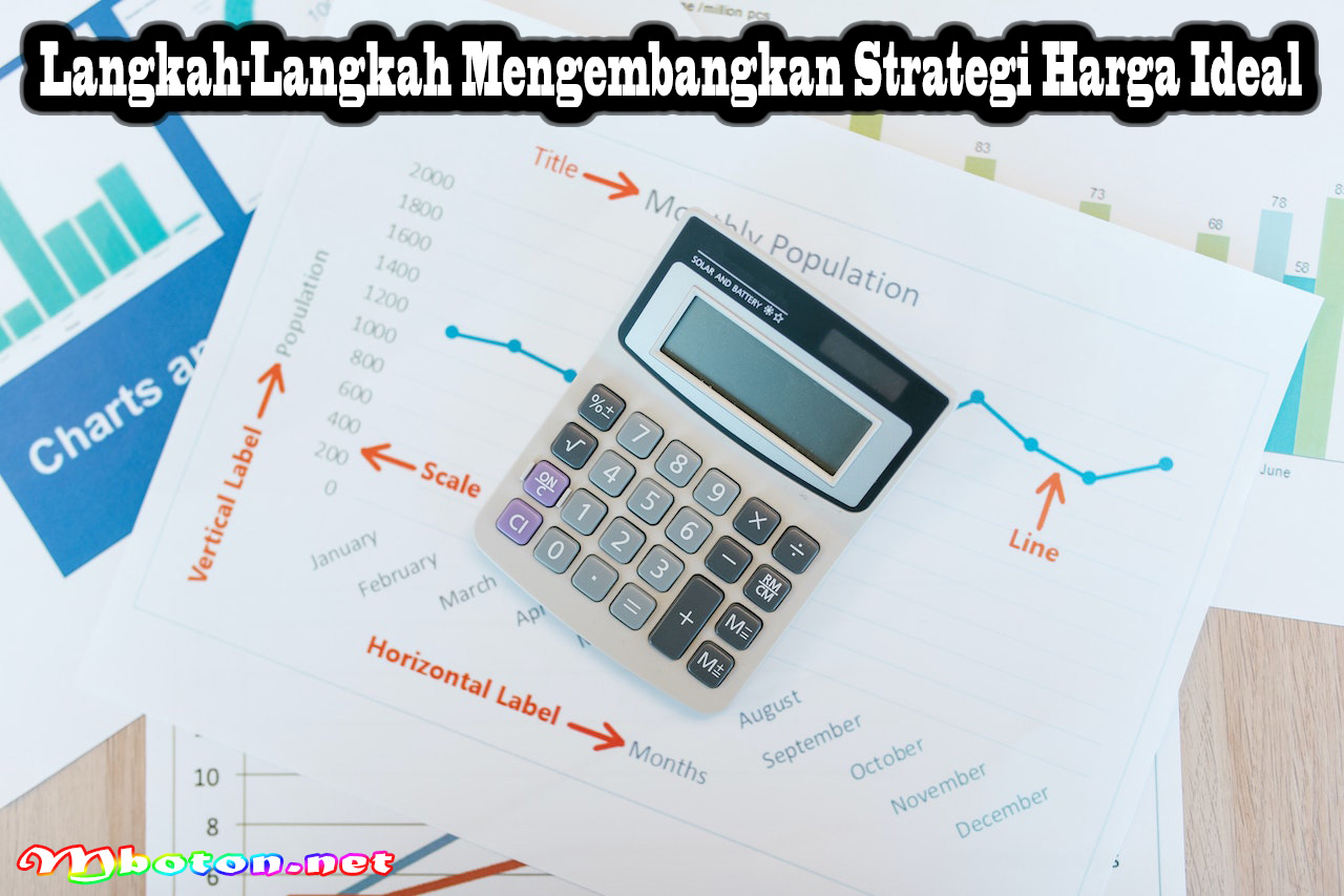 Langkah-Langkah Mengembangkan Strategi Harga Ideal