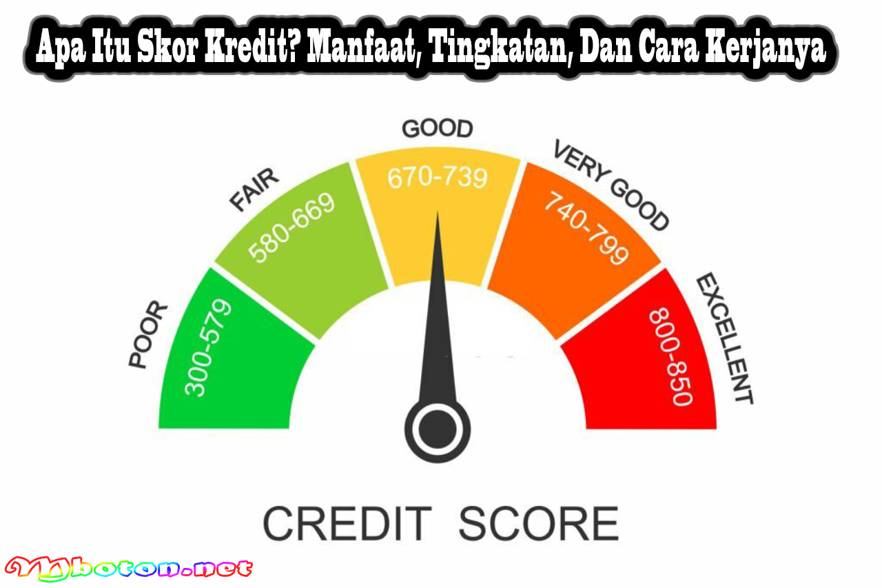 Apa Itu Skor Kredit? Manfaat, Tingkatan, Dan Cara Kerjanya