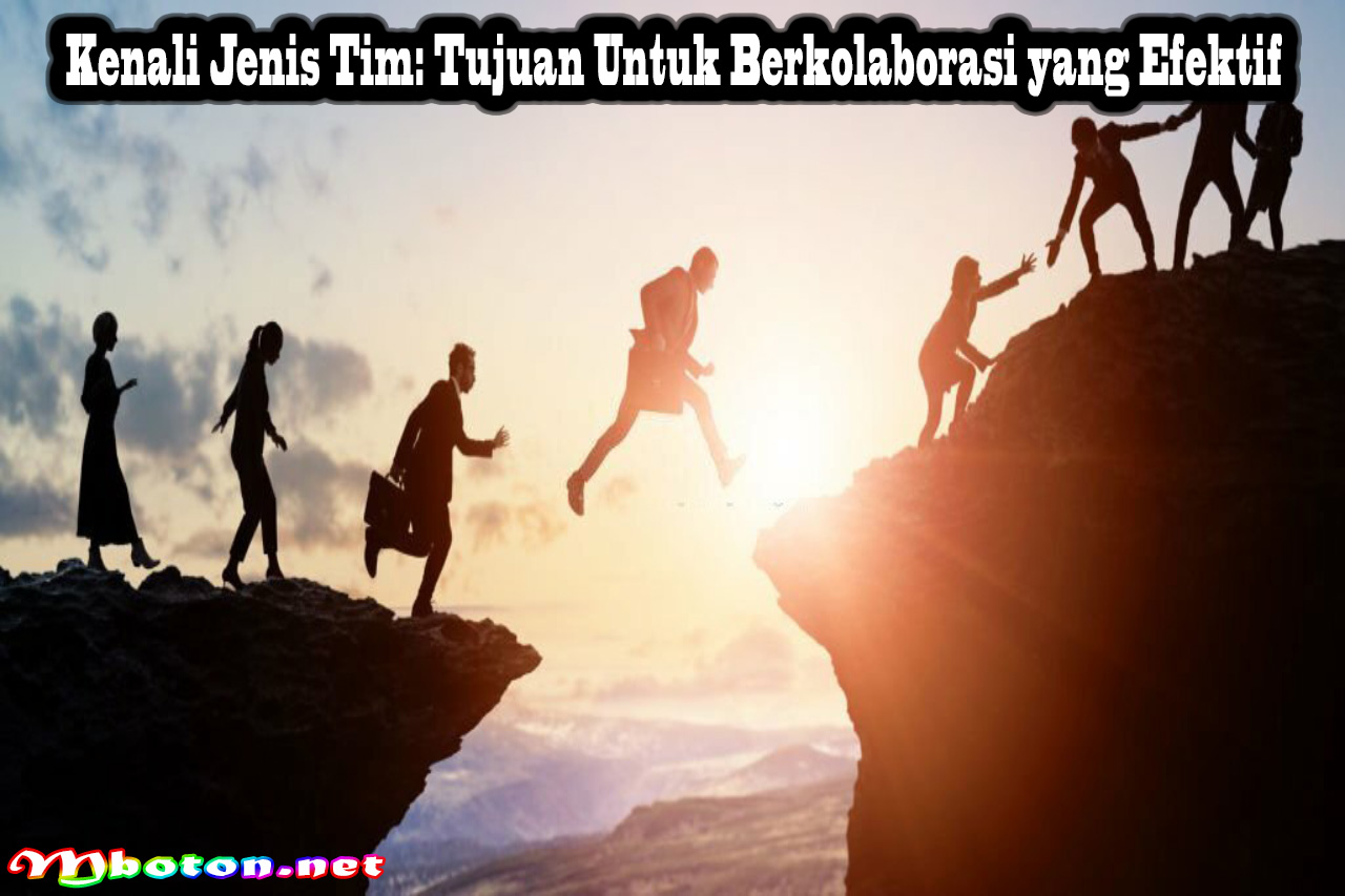 Kenali Jenis Tim: Tujuan Untuk Berkolaborasi yang Efektif