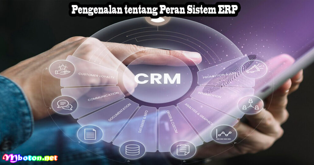 Pengenalan tentang Peran Sistem ERP
