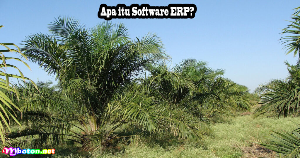 Perusahaan Perkebunan Kelapa Sawit Menerapkan Software ERP 1 Apa itu Software ERP?