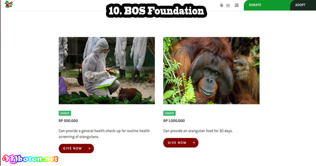 BOS Foundation