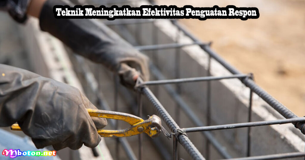 Reinforcement Contoh Penguatan Respon Verbal Maupun Nonverbal 3 Teknik Meningkatkan Efektivitas Penguatan Respon