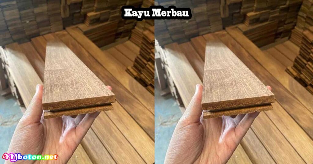 Kayu Merbau