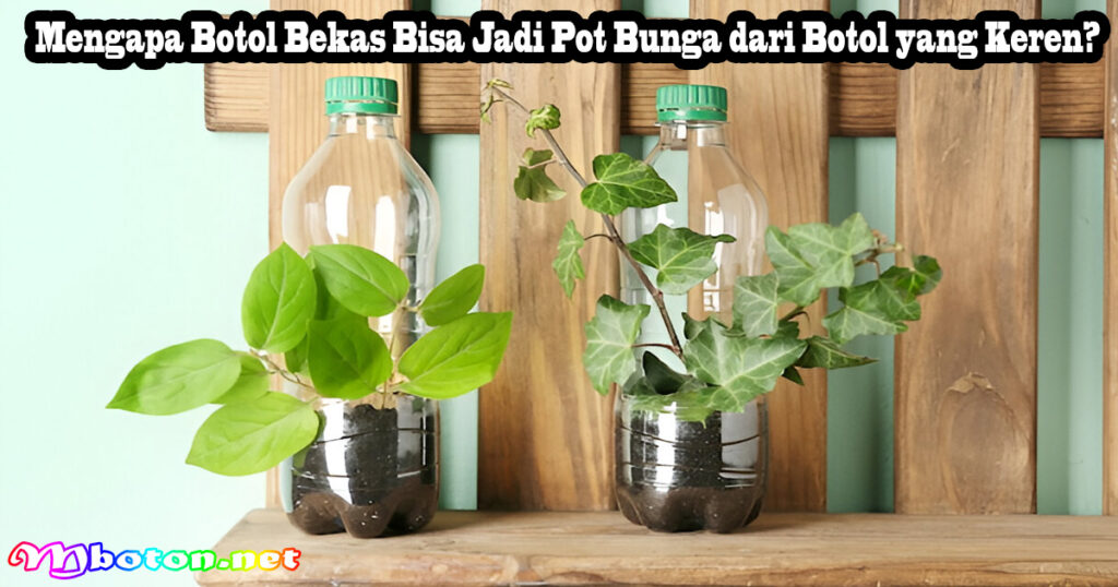 Mengapa Botol Bekas Bisa Jadi Pot Bunga dari Botol yang Keren?