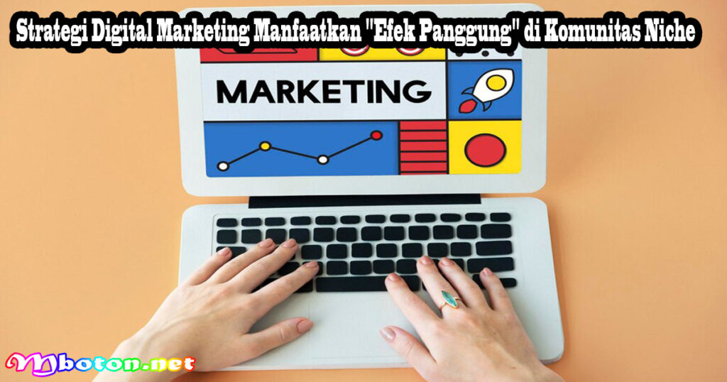 Strategi Digital Marketing Manfaatkan "Efek Panggung" di Komunitas Niche
