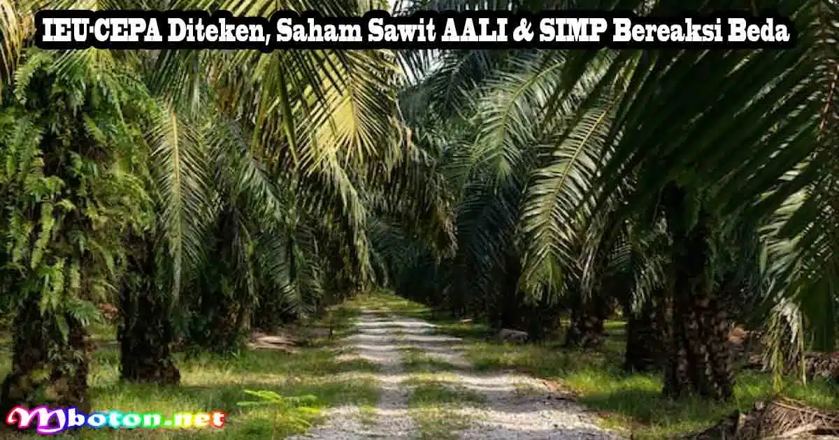 IEU-CEPA Diteken, Saham Sawit AALI & SIMP Bereaksi Beda