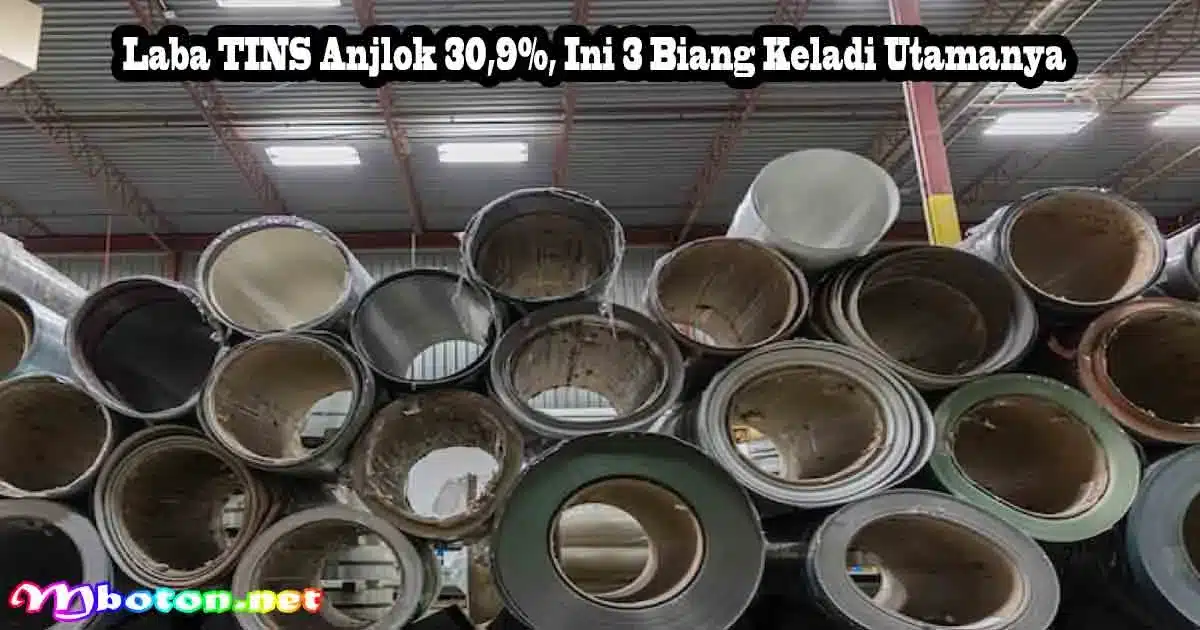 Laba TINS Anjlok 30,9%, Ini 3 Biang Keladi Utamanya